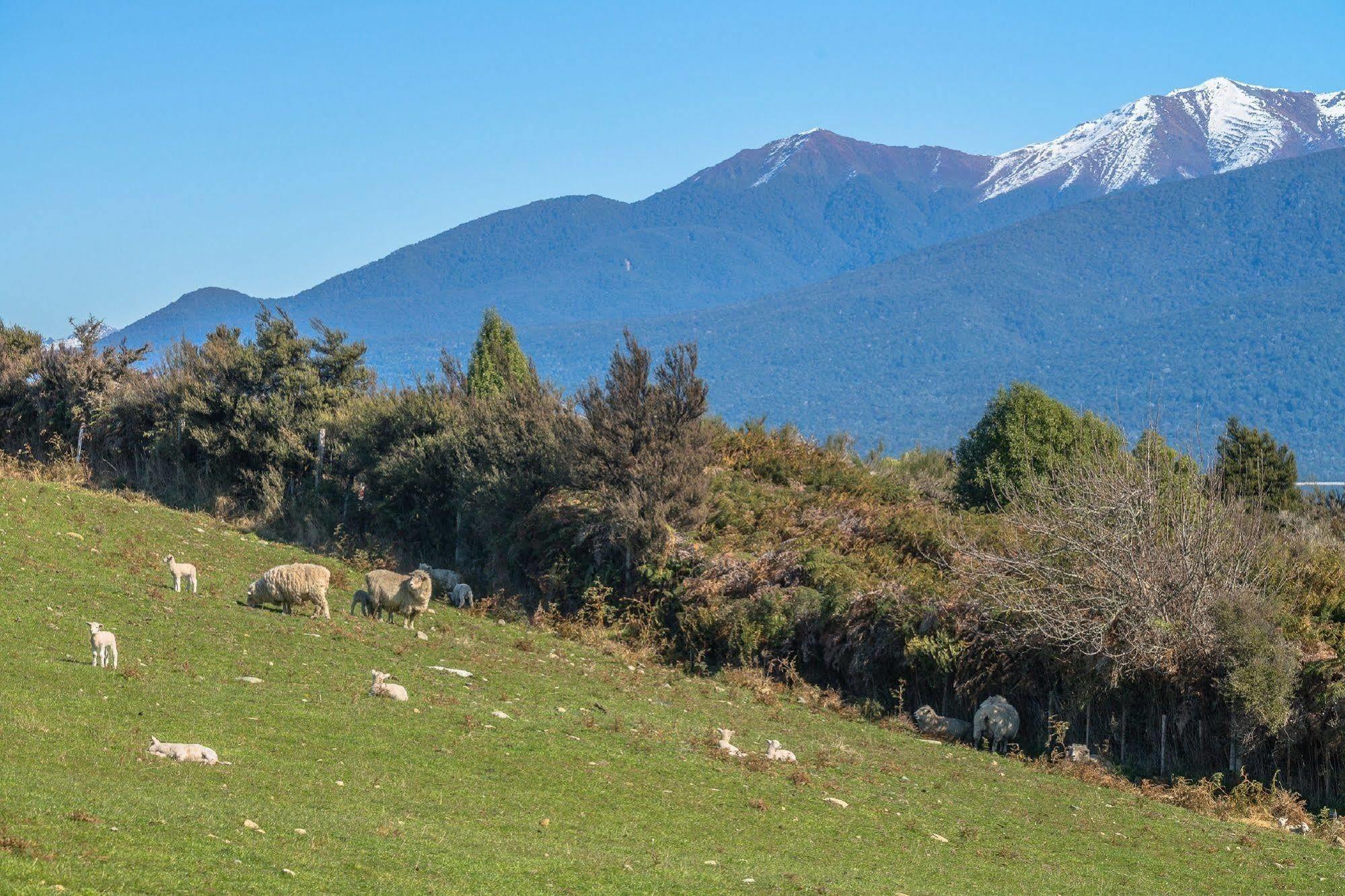 Loch Vista Bed & Breakfast Te Anau Luaran gambar